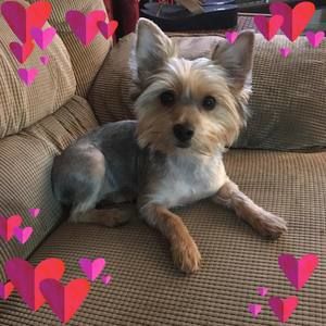 Meet your Posher, Judy